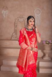 Np Saree  DN 9746A TO 9746D